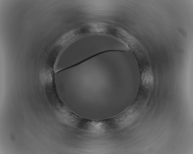 X0000112470570200908171201