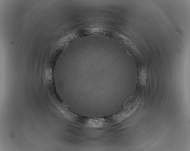 X0000112470571200908171201