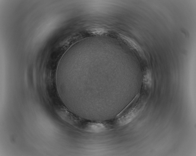 X0000112470572200908171201