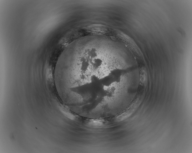 X0000112470573200908171201