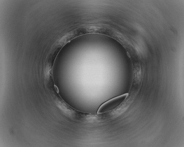 X0000112470574200908171201