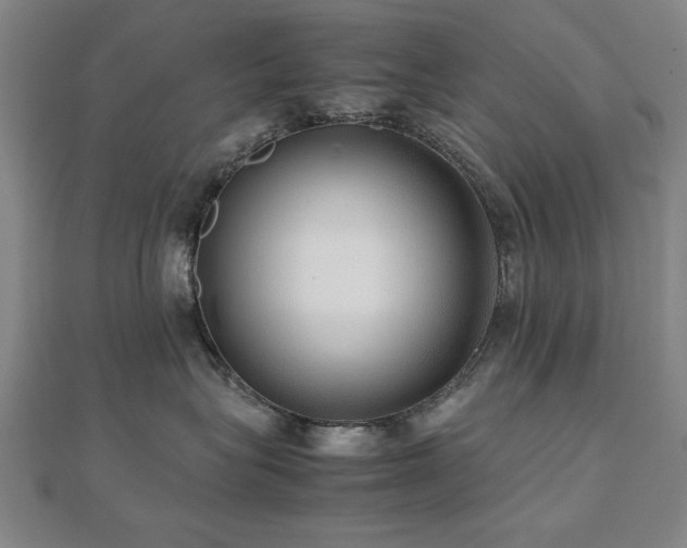 X0000112470575200908171201