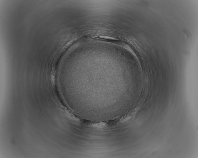 X0000112470576200908171201