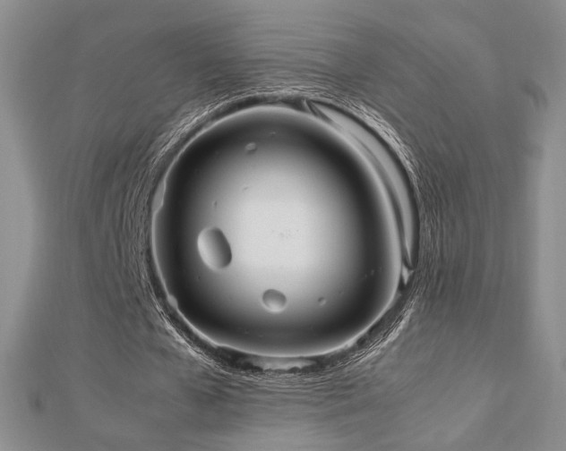 X0000112470577200908171200