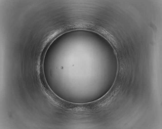 X0000112470578200908171200