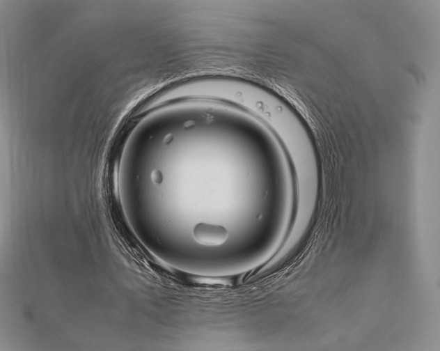 X0000112470579200908171200