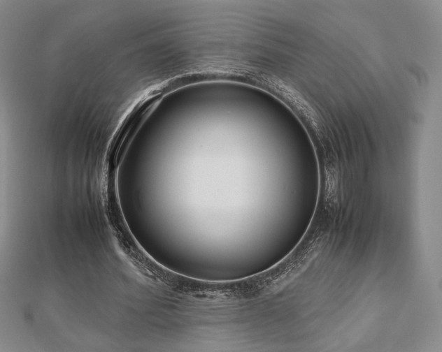 X0000112470580200908171200