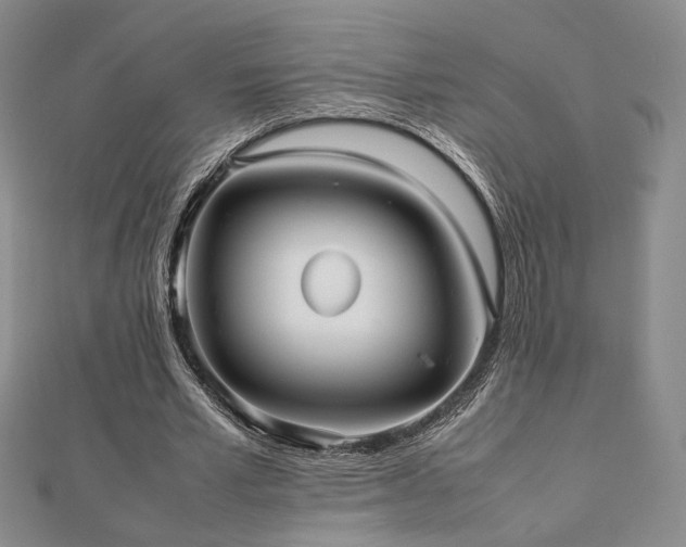 X0000112470581200908171200