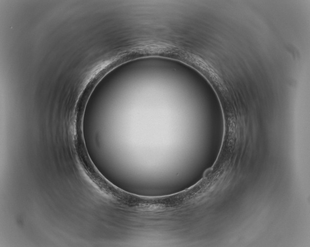 X0000112470582200908171200