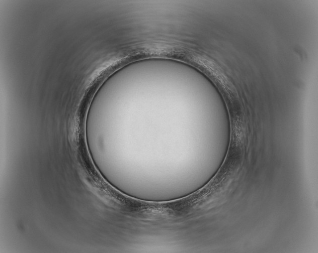 X0000112470583200908171200