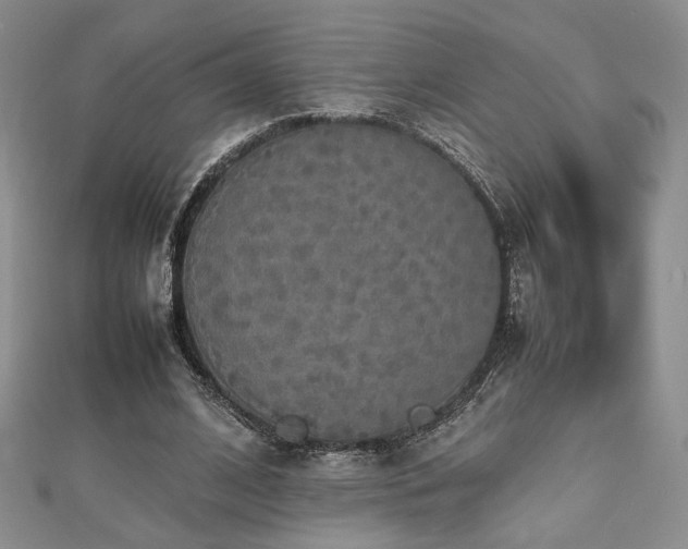 X0000112470584200908171200