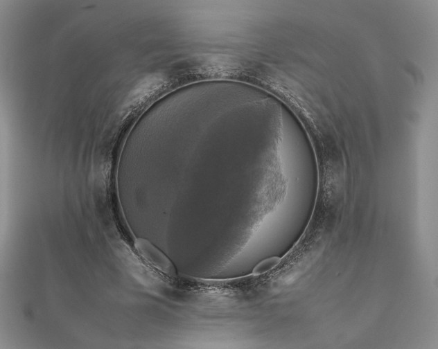 X0000112470585200908171200