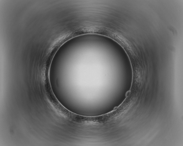 X0000112470586200908171200