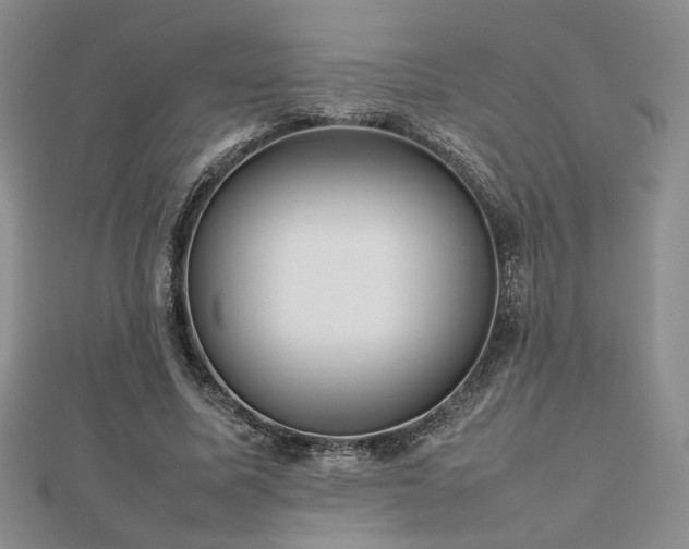 X0000112470587200908171200