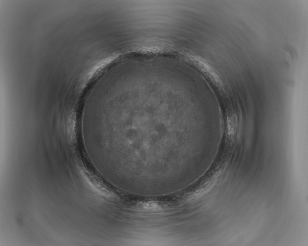 X0000112470588200908171200