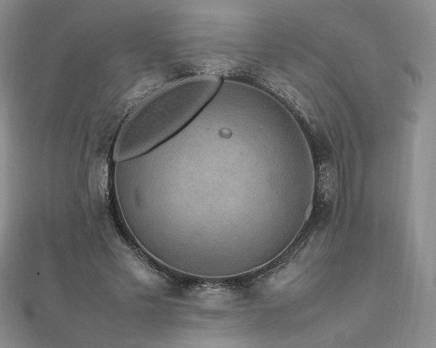 X0000112470589200908171200