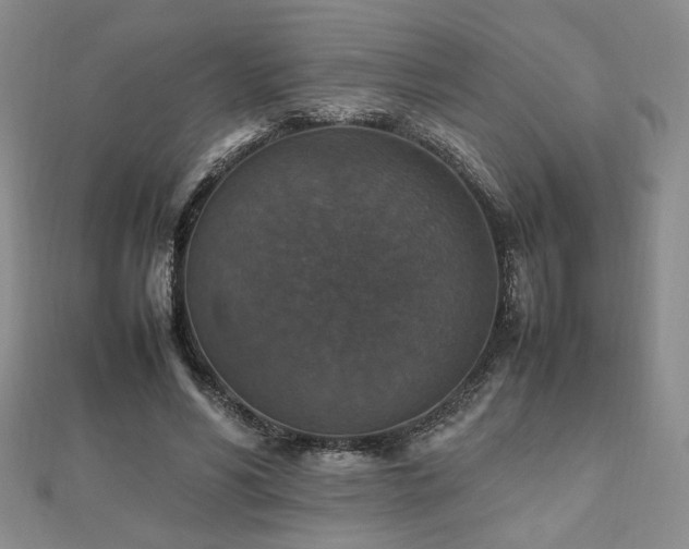 X0000112470590200908171200