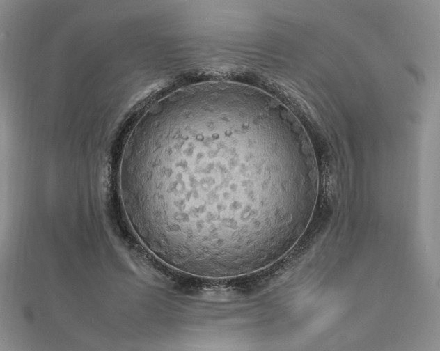 X0000112470591200908171200