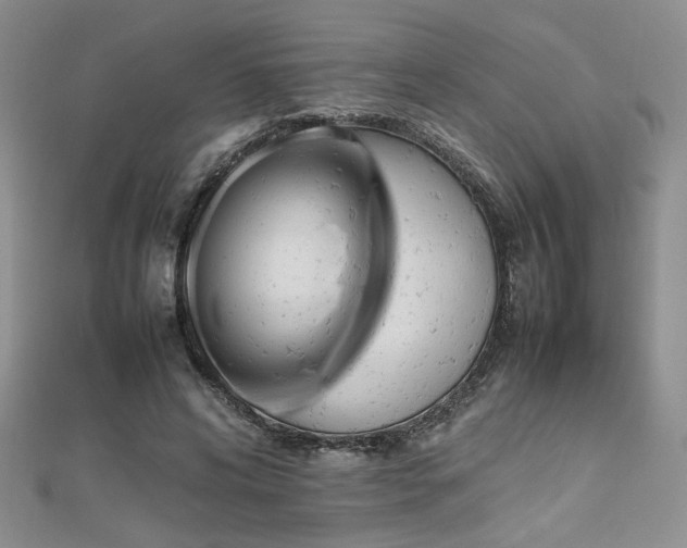 X0000112470592200908171200