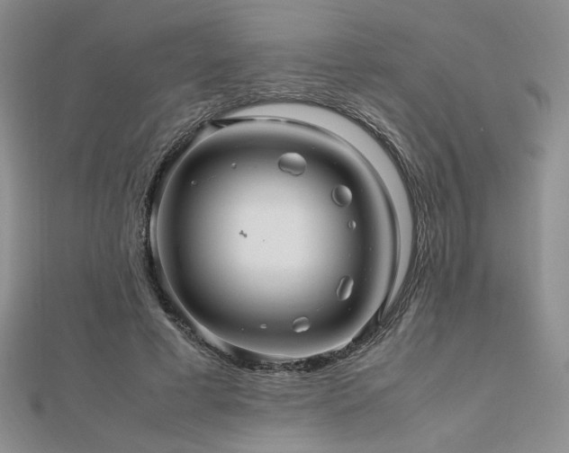 X0000112470593200908171200