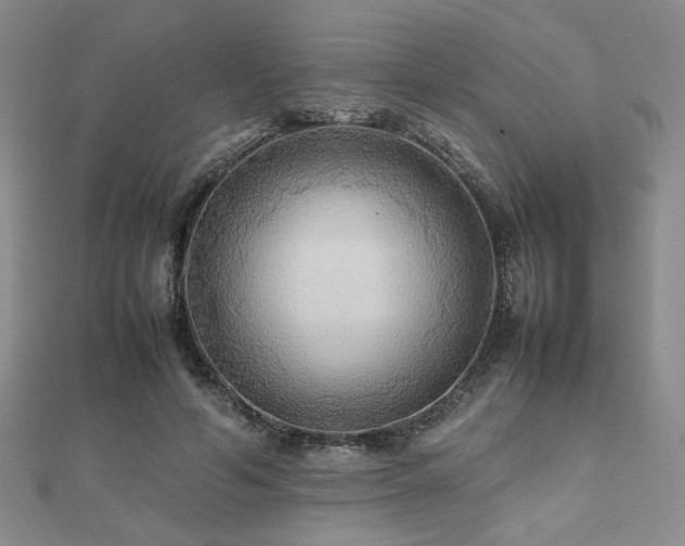 X0000112470594200908171200