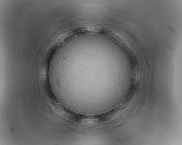 X0000112470595200908171200