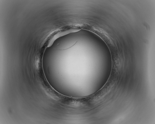 X0000112470596200908171200