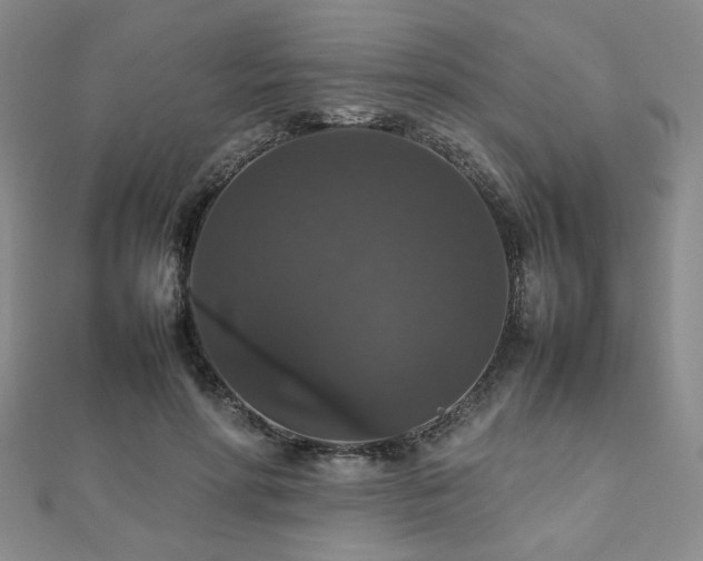 X0000112470598200908171200