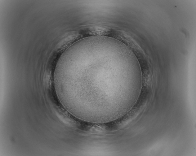 X0000112470599200908171200