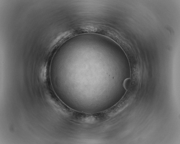 X0000112470600200908171200