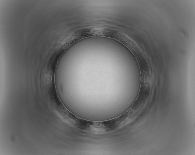 X0000112470603200908171200