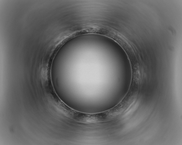 X0000112470604200908171200