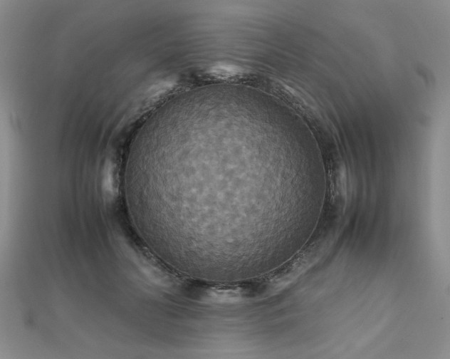 X0000112470606200908171200