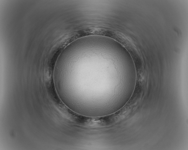 X0000112470607200908171159