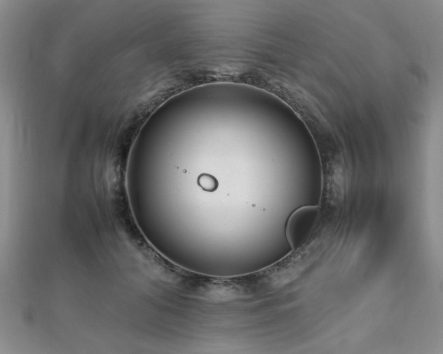 X0000112470608200908171159