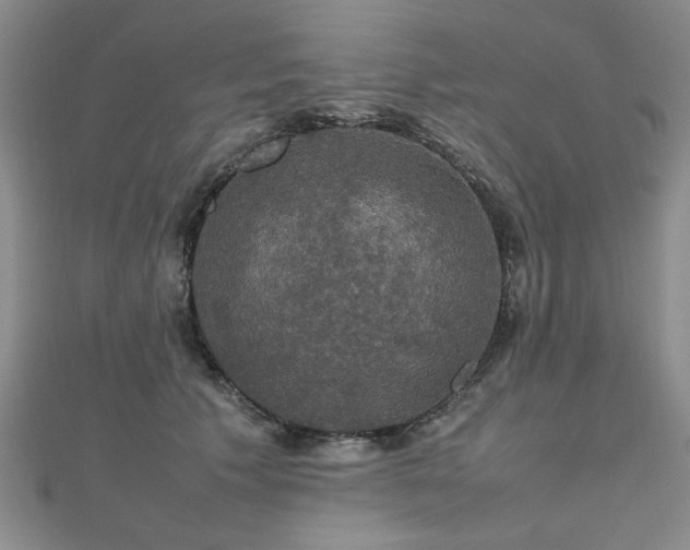 X0000112470609200908171159