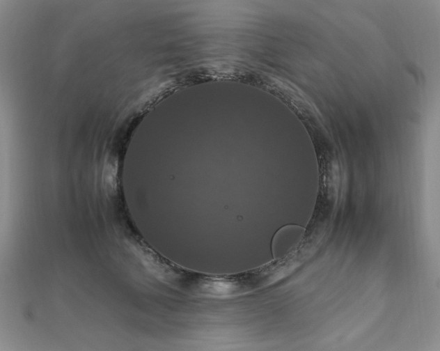 X0000112470610200908171159