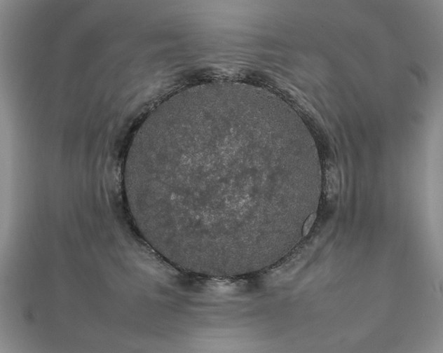 X0000112470613200908171159