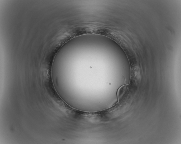 X0000112470615200908171159