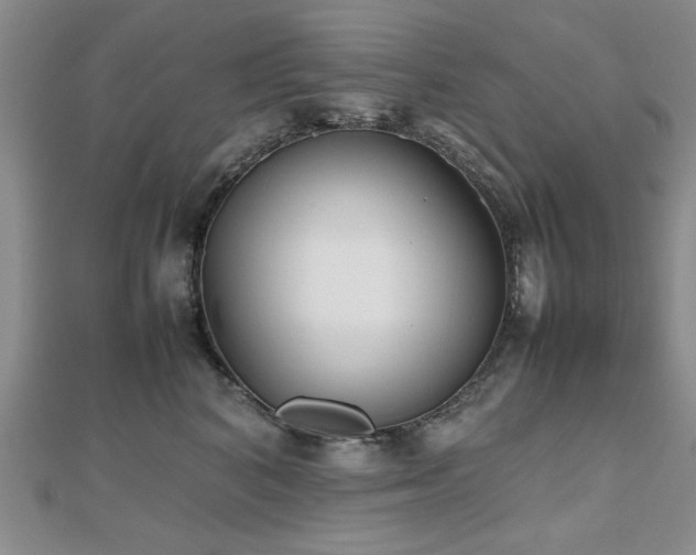 X0000112470616200908171159