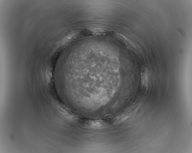 X0000112470618200908171159