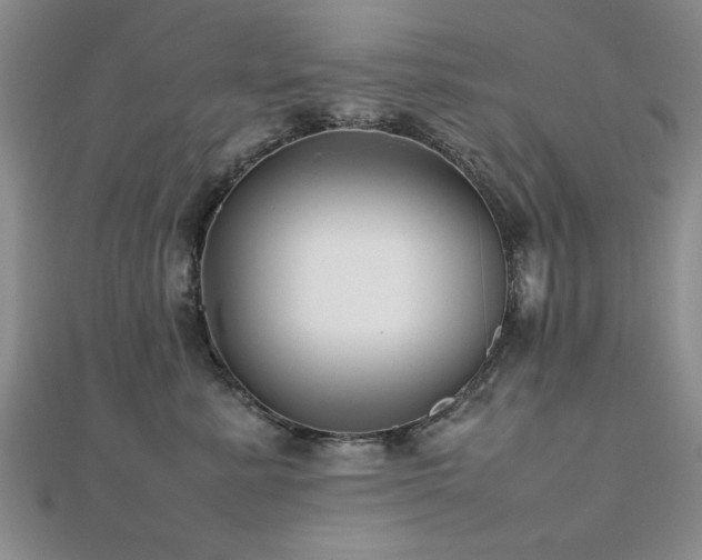 X0000112470619200908171159