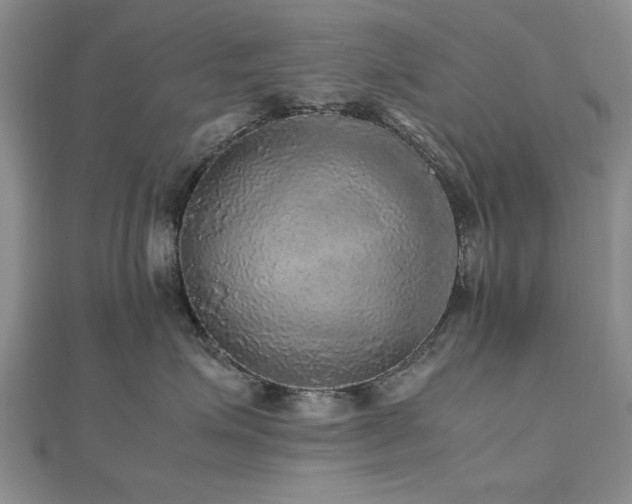 X0000112470623200908171159