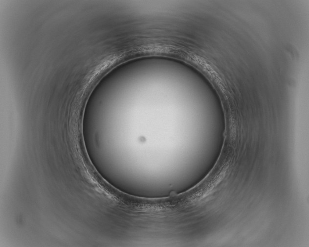 X0000112470625200908171159