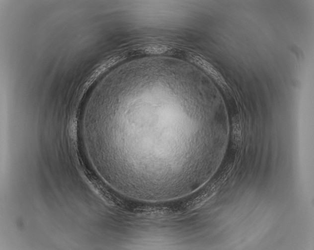 X0000112470626200908171159