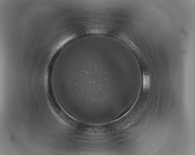 X0000112470627200908171159