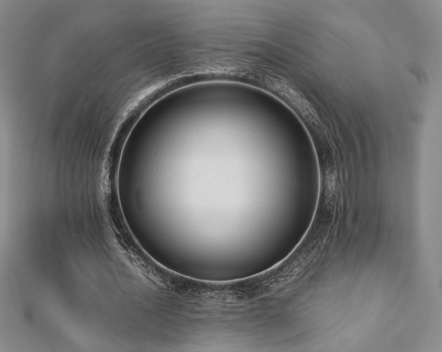 X0000112470628200908171159