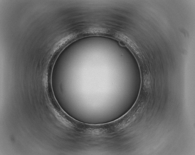 X0000112470629200908171159