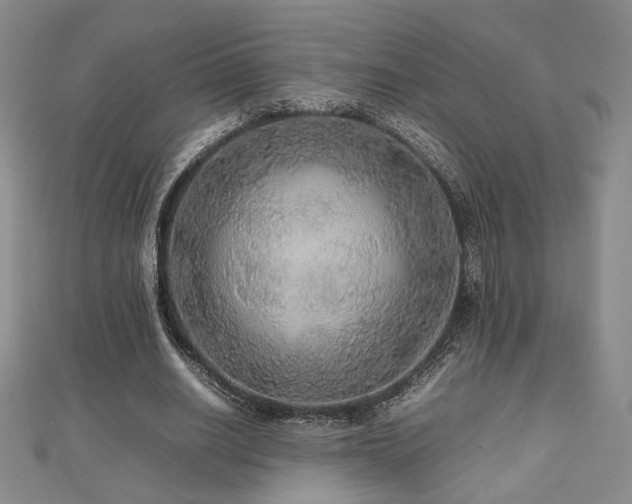 X0000112470630200908171159