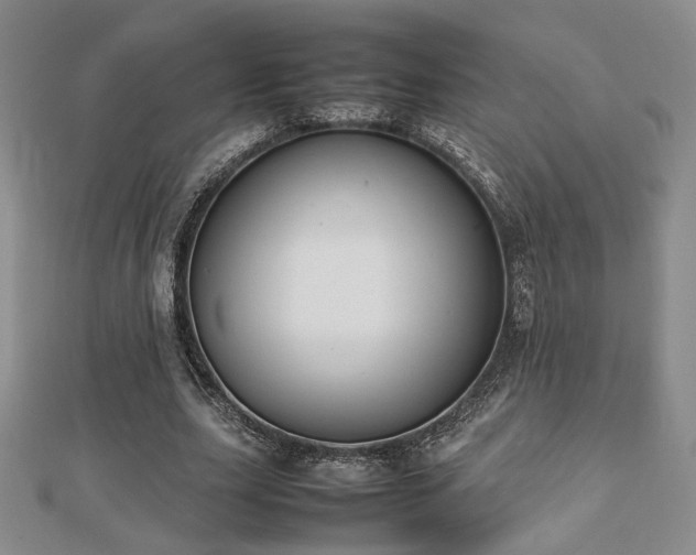 X0000112470631200908171159